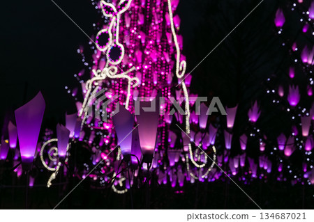 冬夜照明 134687021