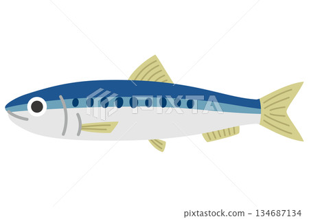 Illustration of sardines in a colander Illustration of sardines in a colander 134687134