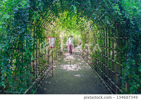 向島百花園：著名的灌木三葉草隧道和靜謐的花園景色 134687349