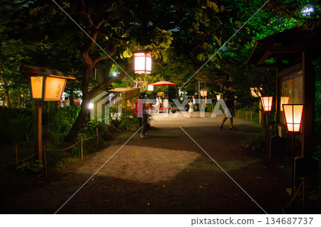 A fantastical garden scene at night with lanterns illuminating the garden paths and people passing by. 134687737
