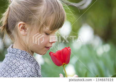 Profile of cute pretty smiling child girl with gray eyes and long hair smelling bright red tulip flower on blurred sunny summer green bokeh background. Profile of cute pretty smiling child girl with gray eyes and long hair smelling bright red tulip flower on blurred sunny summer green bokeh background. 134687819