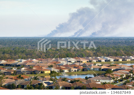 Prescribed fire smoke rising up over suburban neighborhood in Florida Prescribed fire smoke rising up over suburban neighborhood in Florida 134687849