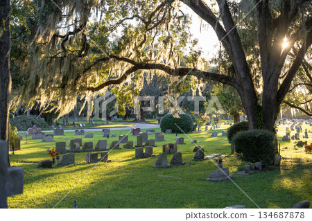 Old cemetery with grave stones under oak trees on green grass lawn in Orlando, Florida. Concept of death Old cemetery with grave stones under oak trees on green grass lawn in Orlando, Florida. Concept of death 134687878