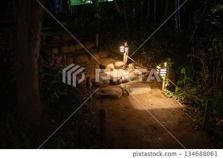 向島百花園的夜間照明石階和寧靜的花園小徑 向島百花園的夜間照明石階和寧靜的花園小徑 134688061