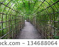 Mukojima Hyakkaen Gardens: A tranquil garden landscape with a tunnel-like path of bush clover surrounded by bamboo and greenery 134688064