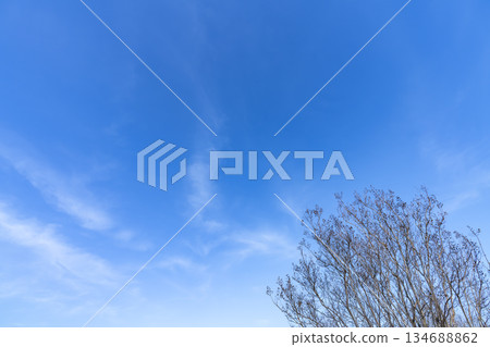 冬日的天空、雲彩和樹木 134688862