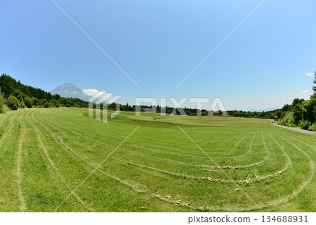 Mount Fuji and lawn mowing ☆mar_lapin Mount Fuji and lawn mowing ☆mar_lapin 134688931