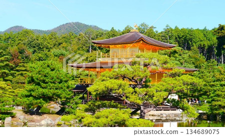 仲夏金閣寺 134689075