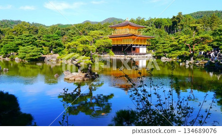 Kinkakuji reflected in the pond 134689076