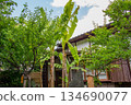 A view of a Japanese house and banana plants growing in the garden of Mukojima Hyakkaen 134690077