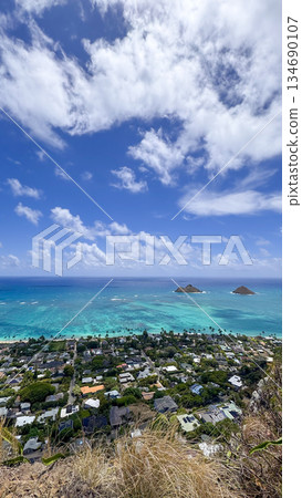 夏威夷拉尼凱海灘，白沙碧海，藍天碧樹，棕櫚搖曳，熱帶風光 134690107