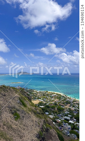 夏威夷拉尼凱海灘，白沙碧海，藍天碧樹，棕櫚搖曳，熱帶風光 134690114