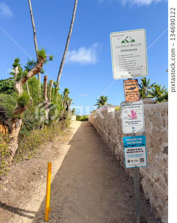 夏威夷拉尼凱海灘，白沙碧海，藍天碧樹，棕櫚搖曳，熱帶風光 134690122