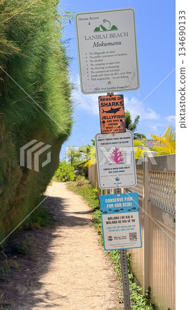Hawaii Lanikai Beach White sand and clear sea Blue sky Palm trees Tropical landscape Hawaii Lanikai Beach White sand and clear sea Blue sky Palm trees Tropical landscape 134690133