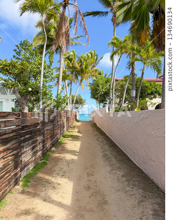Hawaii Lanikai Beach White sand and clear sea Blue sky Palm trees Tropical landscape Hawaii Lanikai Beach White sand and clear sea Blue sky Palm trees Tropical landscape 134690134
