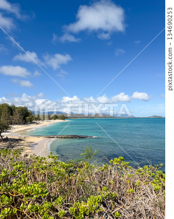 夏威夷拉尼凱海灘，白沙碧海，藍天碧樹，棕櫚搖曳，熱帶風光 134690253