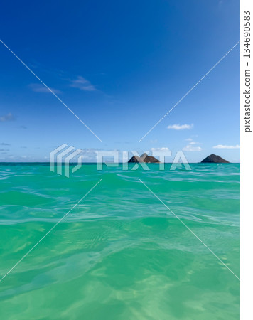 夏威夷拉尼凱海灘,白沙碧海,藍天碧樹,棕櫚搖曳,熱帶風光 夏威夷拉尼凱海灘,白沙碧海,藍天碧樹,棕櫚搖曳,熱帶風光 134690583