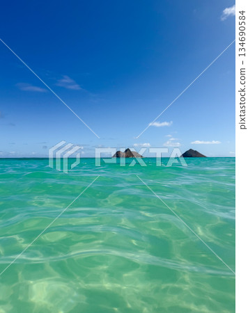 夏威夷拉尼凱海灘,白沙碧海,藍天碧樹,棕櫚搖曳,熱帶風光 夏威夷拉尼凱海灘,白沙碧海,藍天碧樹,棕櫚搖曳,熱帶風光 134690584