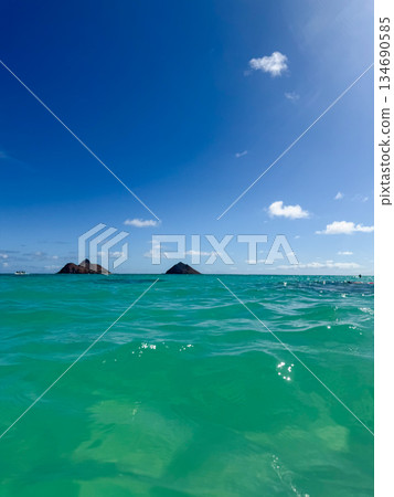 夏威夷拉尼凱海灘,白沙碧海,藍天碧樹,棕櫚搖曳,熱帶風光 夏威夷拉尼凱海灘,白沙碧海,藍天碧樹,棕櫚搖曳,熱帶風光 134690585