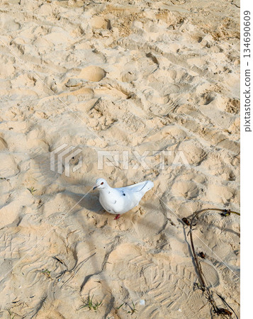 Hawaii Lanikai Beach White sand and clear sea Blue sky Tropical landscape 134690609