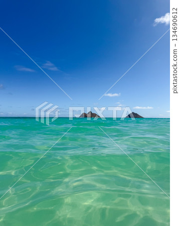 夏威夷拉尼凱海灘,白沙清澈,碧空如洗,熱帶風光 夏威夷拉尼凱海灘,白沙清澈,碧空如洗,熱帶風光 134690612