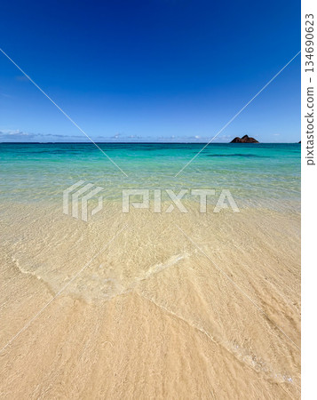 夏威夷拉尼凱海灘,白沙清澈,碧空如洗,熱帶風光 夏威夷拉尼凱海灘,白沙清澈,碧空如洗,熱帶風光 134690623