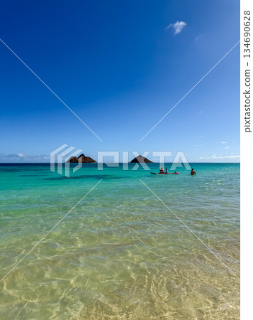 Hawaii Lanikai Beach White sand and clear sea Blue sky Tropical landscape 134690628