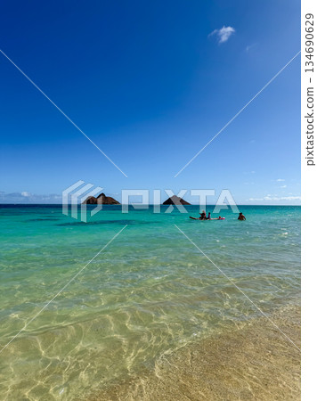 Hawaii Lanikai Beach White sand and clear sea Blue sky Tropical landscape 134690629