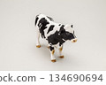 Holstein 134690694