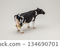 Holstein 134690701