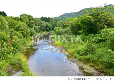 北海道465號國道金山生虎站線，金山湖周邊景色（2023年夏季） 134690703