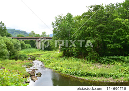 北海道465號國道金山生虎站線,金山湖周邊景色(2023年夏季) 北海道465號國道金山生虎站線,金山湖周邊景色(2023年夏季) 134690736