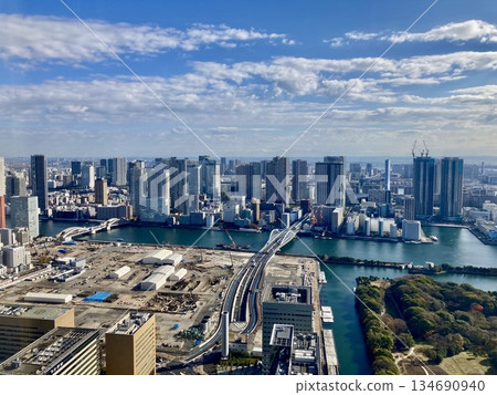 Tokyo Cityscape/Waterfront (Tokyo) 134690940