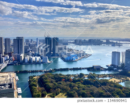 Tokyo Cityscape/Waterfront (Tokyo) 134690941