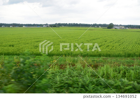 JR北海道根室本線,從平岸車站到瀧川站的風景(2023年夏季) JR北海道根室本線,從平岸車站到瀧川站的風景(2023年夏季) 134691052