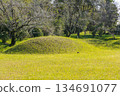 Landscape with a small burial mound covered in grass 134691077