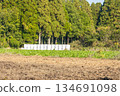 A landscape of farmland with rolls of hay and forest 134691098