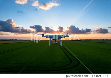 golf ball on green field 134691164