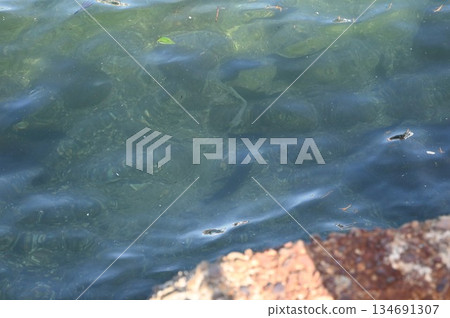 Transparent sea Transparent sea 134691307