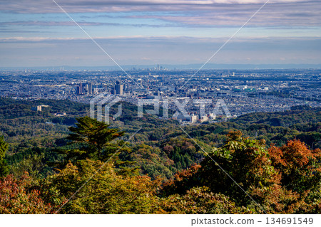 Autumn foliage (Mt. Takao, Kasumidai Observatory) 134691549