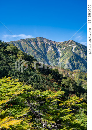 Mount Korenge (also known as Mount Dainichi) seen from Tengu Garden (the hiking trail to Hakuba Oike Pond) Renge Onsen - Hakuba-dake traverse in the Northern Alps Mount Korenge (also known as Mount Dainichi) seen from Tengu Garden (the hiking trail to Hakuba Oike Pond) Renge Onsen - Hakuba-dake traverse in the Northern Alps 134691602