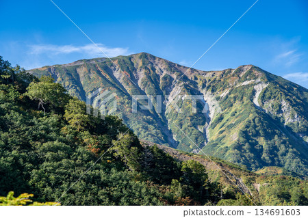 Mount Korenge (also known as Mount Dainichi) seen from Tengu Garden (the hiking trail to Hakuba Oike Pond) Renge Onsen - Hakuba-dake traverse in the Northern Alps 134691603