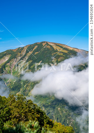 Yukikuradake seen from Tengu Garden (the hiking trail to Hakuba Oike Pond) Renge Onsen to Hakubadake traverse in the Northern Alps Yukikuradake seen from Tengu Garden (the hiking trail to Hakuba Oike Pond) Renge Onsen to Hakubadake traverse in the Northern Alps 134691604
