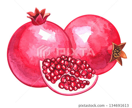 石榴插圖素材 134691613