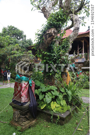 巴厘島烏布皇宮 134692587