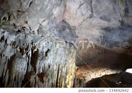 Sung Sot Cave in Halong Bay, Vietnam 134692642