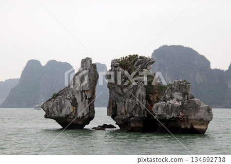 Halong Bay, a world heritage site in Vietnam Halong Bay, a world heritage site in Vietnam 134692738