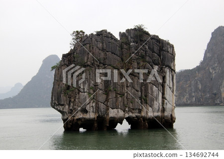 Halong Bay, a world heritage site in Vietnam 134692744