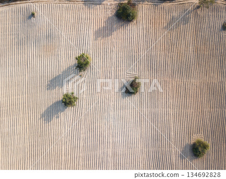 High angle view of the land prepare for planting in rural Thailand during dry season. Preparing land for planting is the first step to cultivate abundance. High angle view of the land prepare for planting in rural Thailand during dry season. Preparing land for planting is the first step to cultivate abundance. 134692828