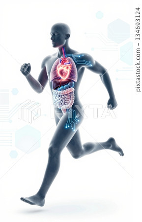 Futuristic 3D Illustration of Running Human Body with Glowing Organs and Digital Interface. 134693124